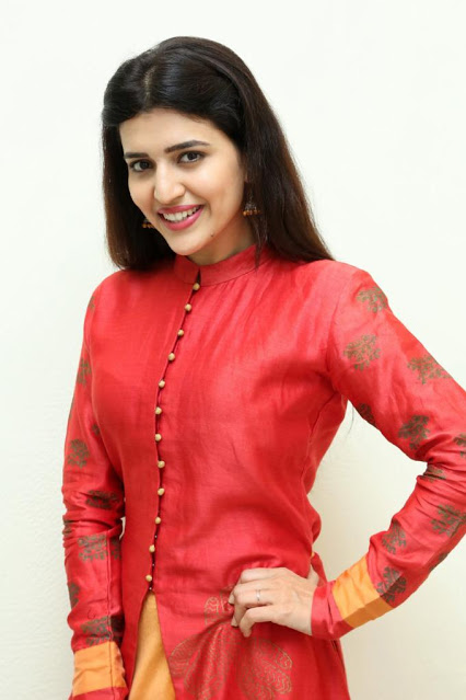 Actress Chitra Shukla Beautiful Photo Shoot In Red Dress 7